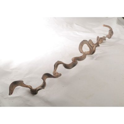 Twisted Roots Natural Driftwood