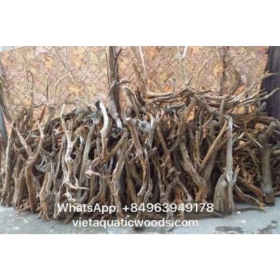 Linh Sam Driftwood