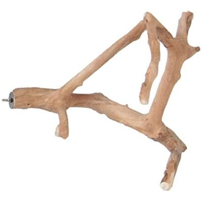 Javawood Multi-branch
