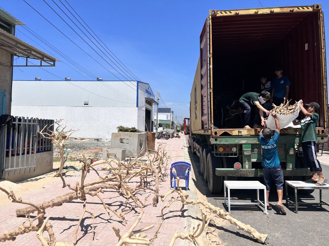 Choose export expertise suppliers when dealing with natural materials
