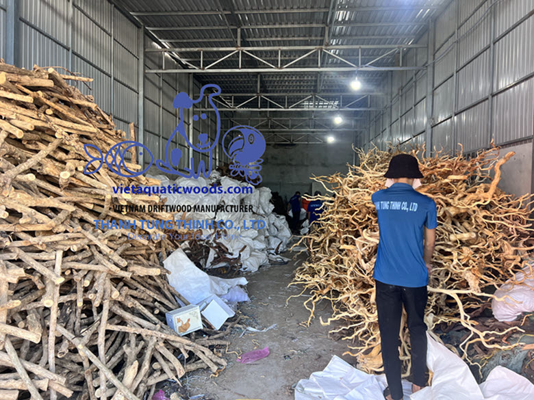 Vietnamese natural driftwood supplier - Thanh Tung Thinh Co., Ltd