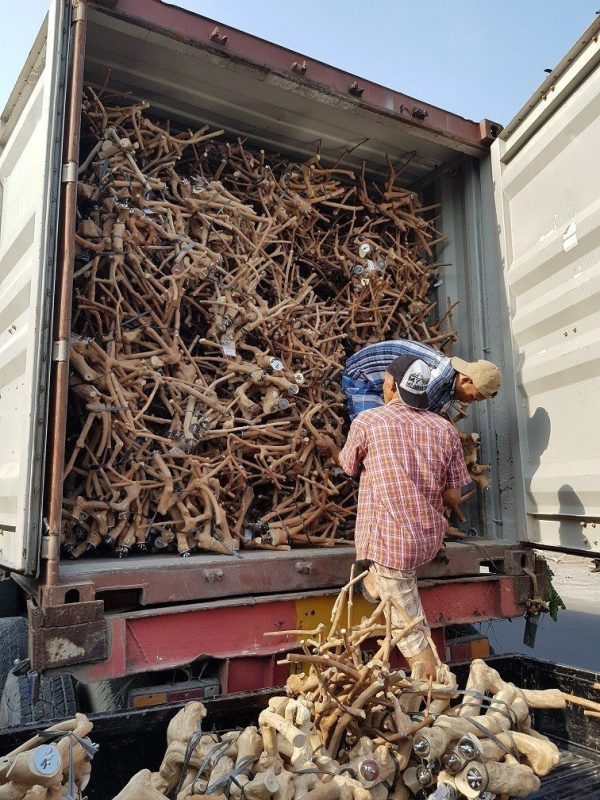 Driftwood supplier