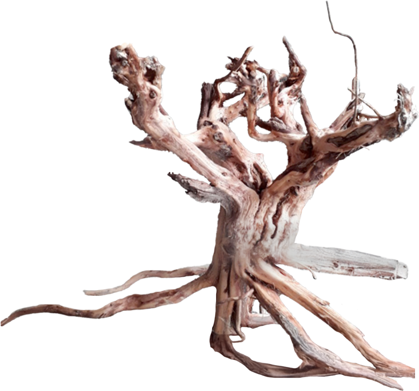 spider wood supplier