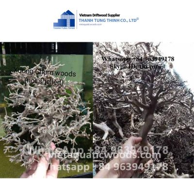 aquarium accessory sansan driftwood