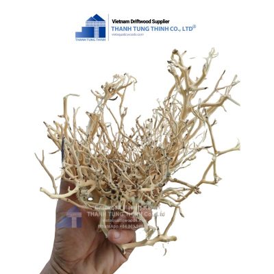 aquarium sansan driftwood