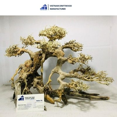 basic medium bonsai driftwood