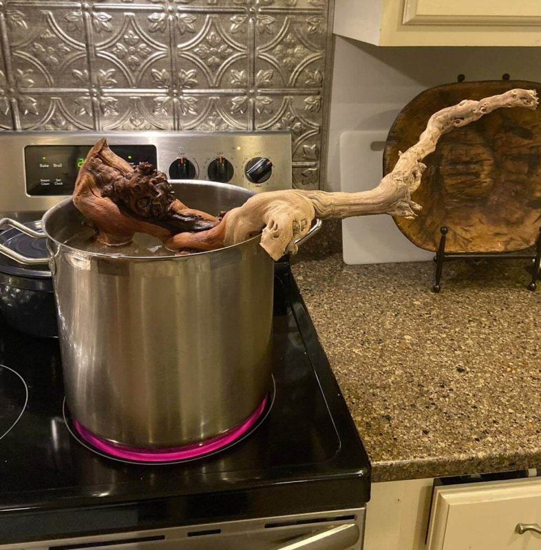 Boiling driftwood for a few hours