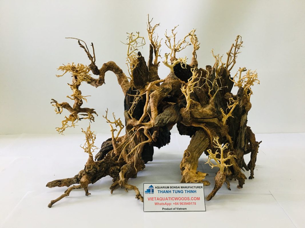Unique desgin bonsai driftwood
