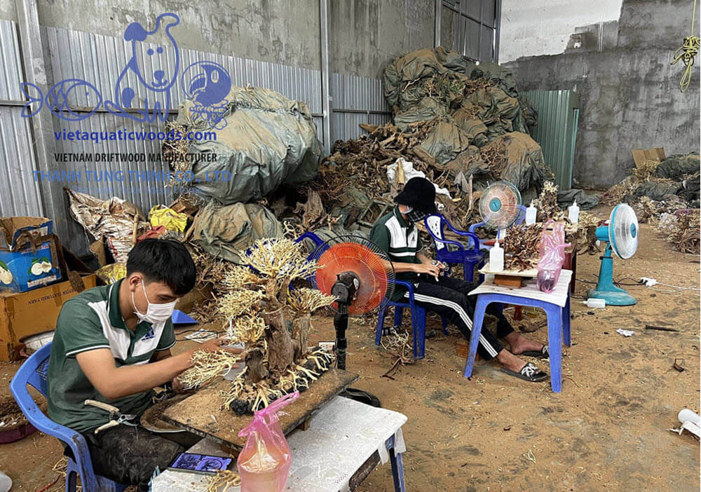 Thanh Tung Thinh is the trusted bonsai driftwood manufacturer