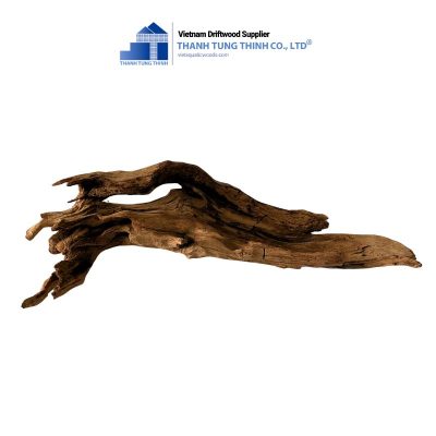 brown core natural driftwood