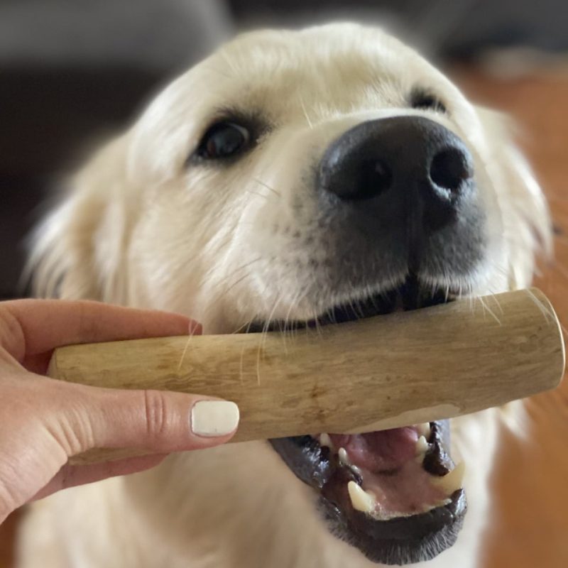 Satisfying natural chewing instincts
