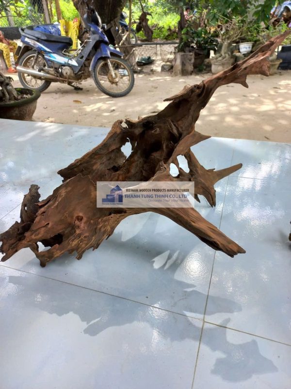 dodo driftwood