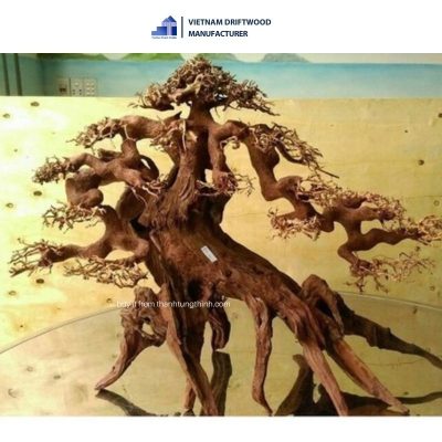 extra-large bonsai driftwood