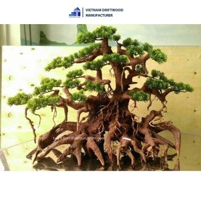 handcrafted large bonsai driftwood
