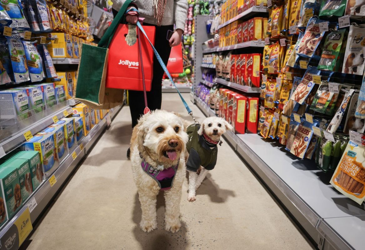 Pet parents are increasingly leaning toward eco-friendly pet products