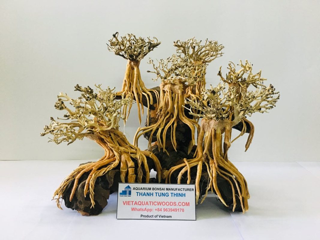 High-quality and complex bonsai driftwood