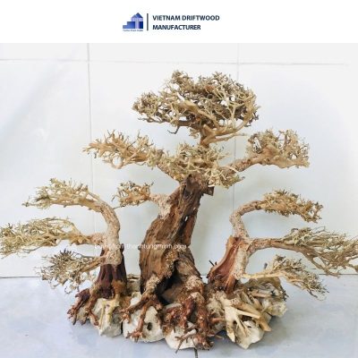 large bonsai driftwood with stones