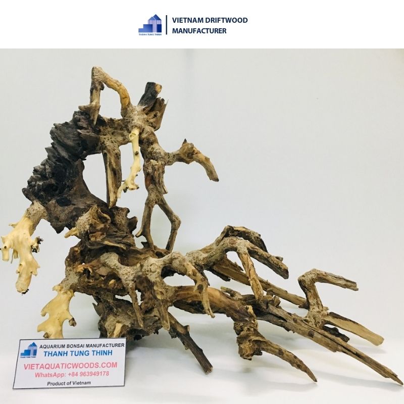 Raw bonsai driftwood
