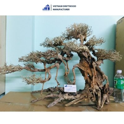 left-tilted bonsai driftwood