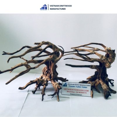 Unique style bonsai driftwood