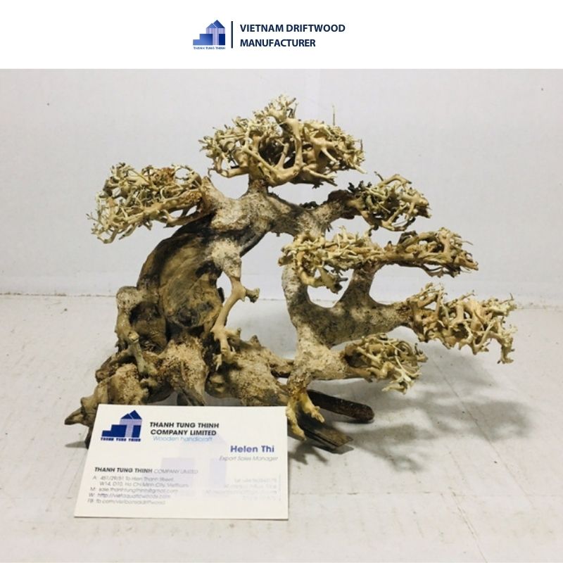 Bonsai driftwood for fish tank aquarium, and vivarium