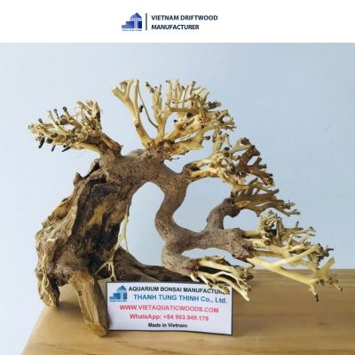 Basic small bonsai driftwood for home decoration