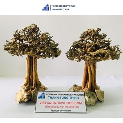 Small bonsai driftwood basic decor for your aquarium