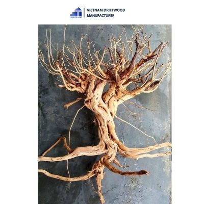 sa tung driftwood for aquascape