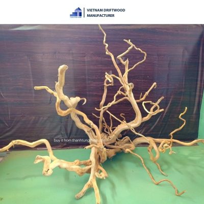 Natural Do Quyen driftwood for aquarium decoration