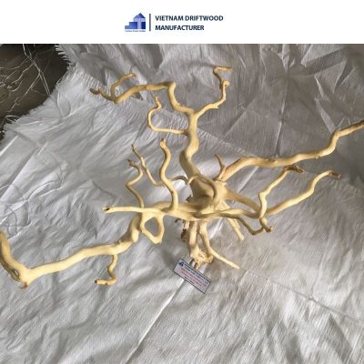 Do Quyen driftwood for aquarium