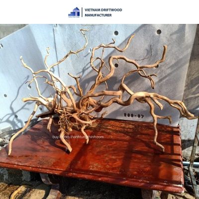 High-quality Do Quyen driftwood for aquarium