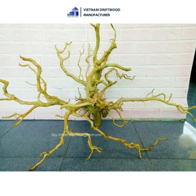Curving Natural Do Quyen Driftwood