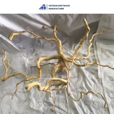 multi-branch Do Quyen driftwood