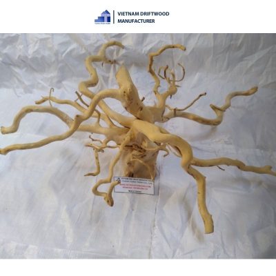 Unique shape Do Quyen driftwood