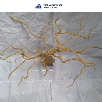 Do Quyen driftwood for decorating