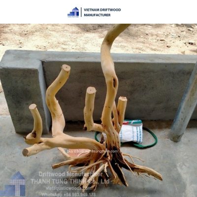 Exclusive shape thanh lieu driftwood for decor