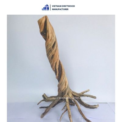 Natural huge Thanh Lieu driftwood for decoration