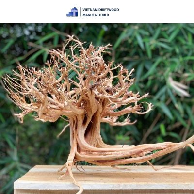 Natural Curving Sa Tung driftwood for decorating