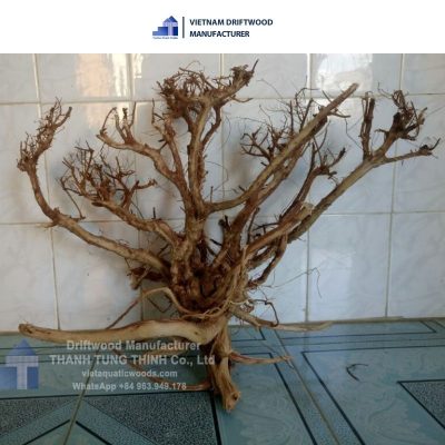 Huge Sa Tung driftwood for decoration