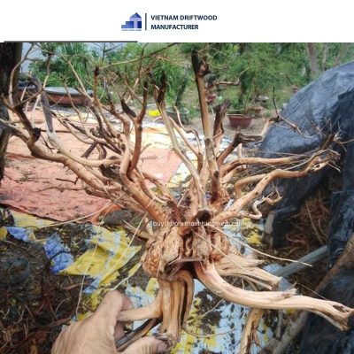 aquarium sa tung woods