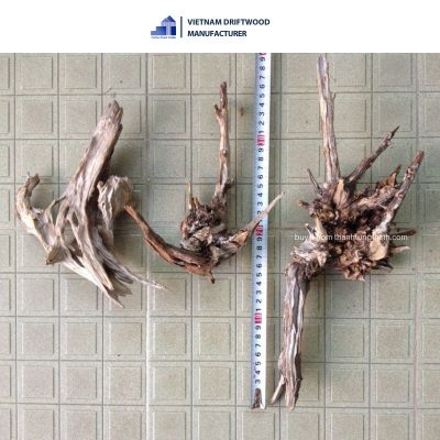 Special Slight Driftwood