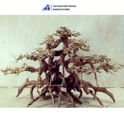 multi-trunk complex bonsai driftwood