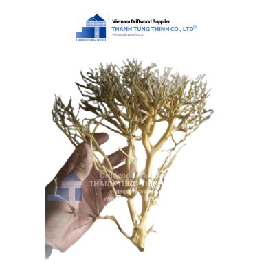 natural aquarium sansan driftwood