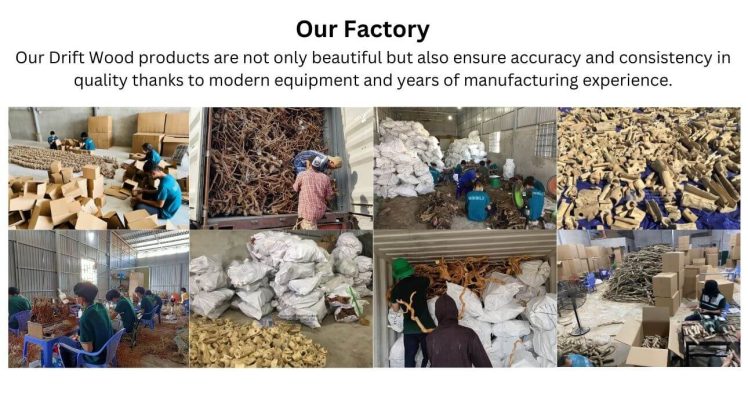 factory of natural driftwood supplier