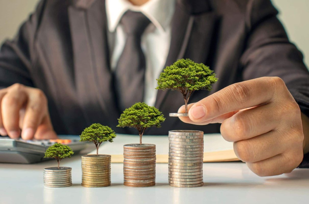 Make profits from eco-friendly products