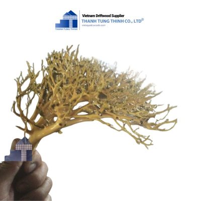 sansan driftwood for aquariums