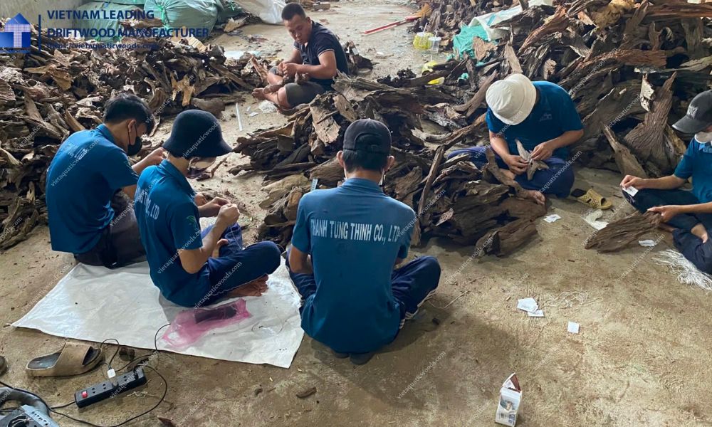 Thanh Tung Thinh is the trusted driftwood supplier in Vietnam