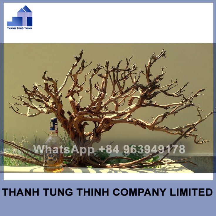 Aquascaping Driftwood