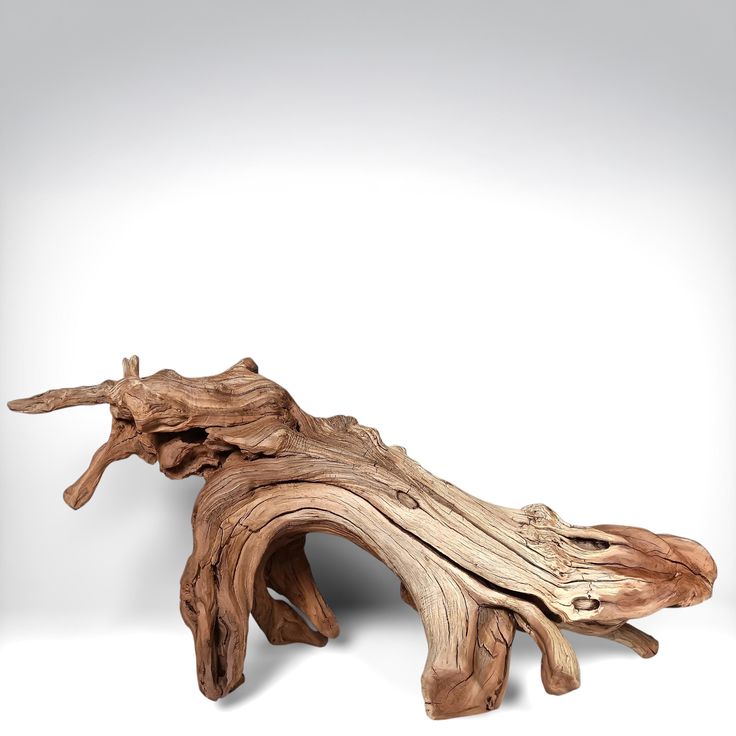 aquarium driftwood
