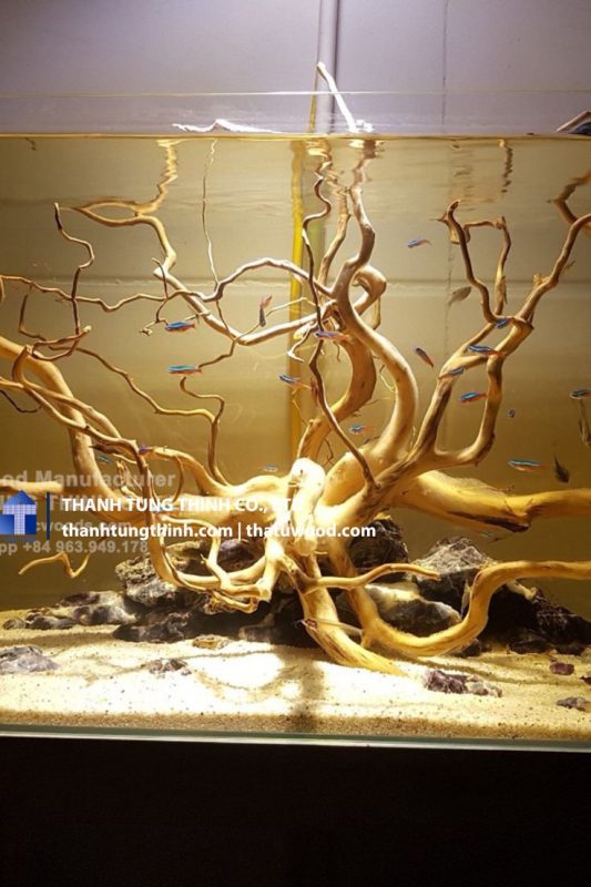Aquascaping Driftwood